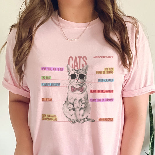 Cat Anatomy